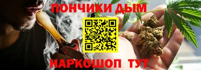 крисы Северобайкальск