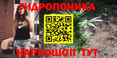 крисы Северобайкальск