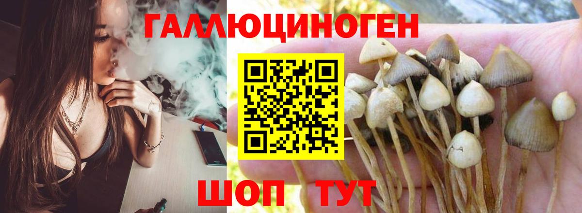 Галлюциногенные грибы прущие грибы  Псилоцибиновые грибы MAGIC MUSHROOMS  Вход с VPN  Прохладный 